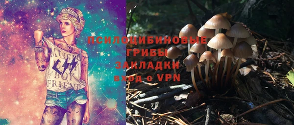 трава Верхний Тагил
