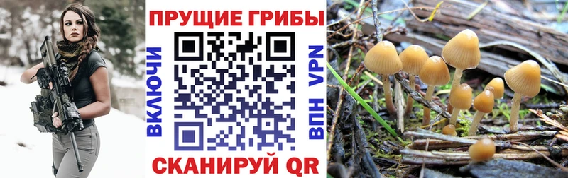 Галлюциногенные грибы MAGIC MUSHROOMS  Купить закладки  Райчихинск 